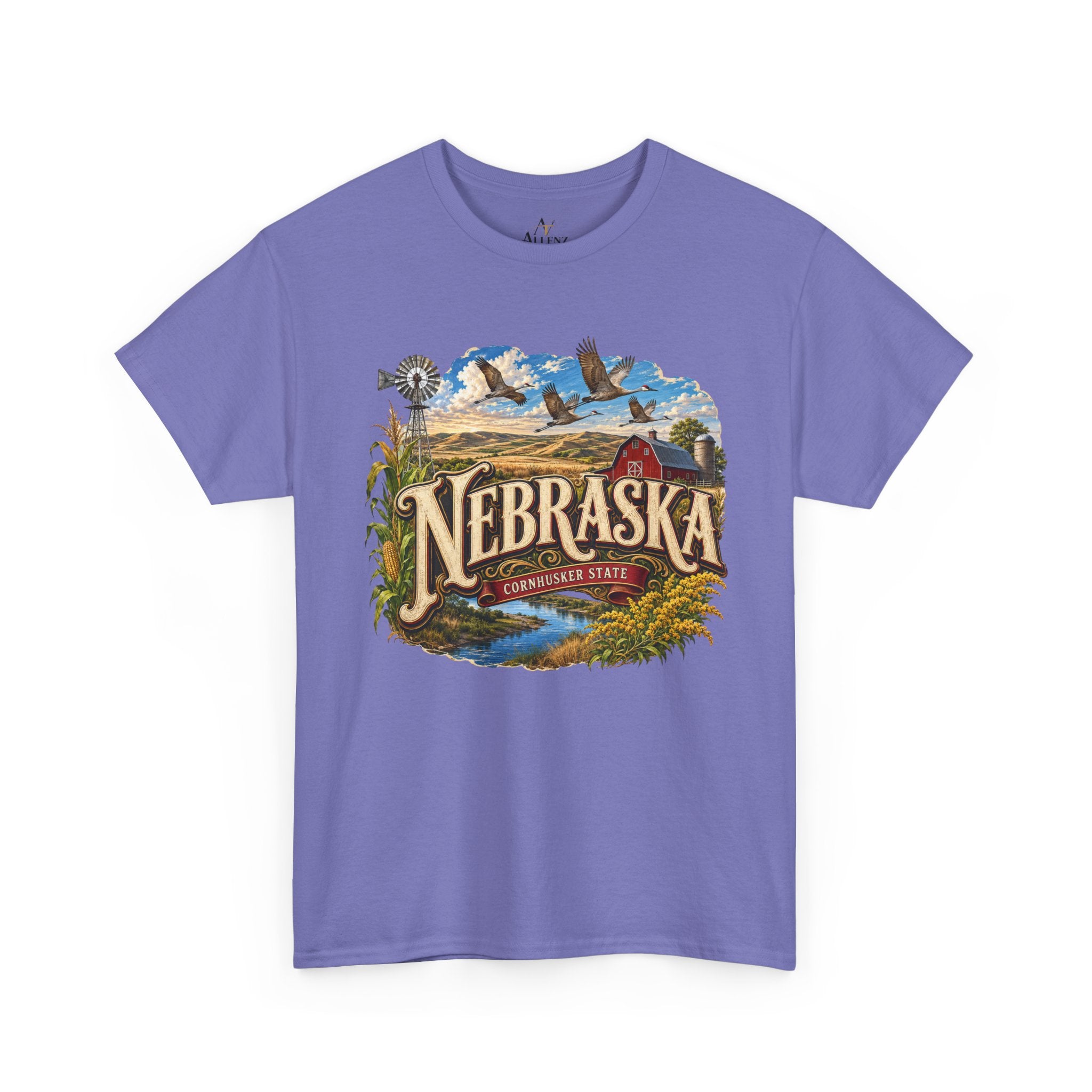 Unisex Heavy Cotton Tee🌾 Nebraska – Heartland Heritage and Prairie Pride 🌾