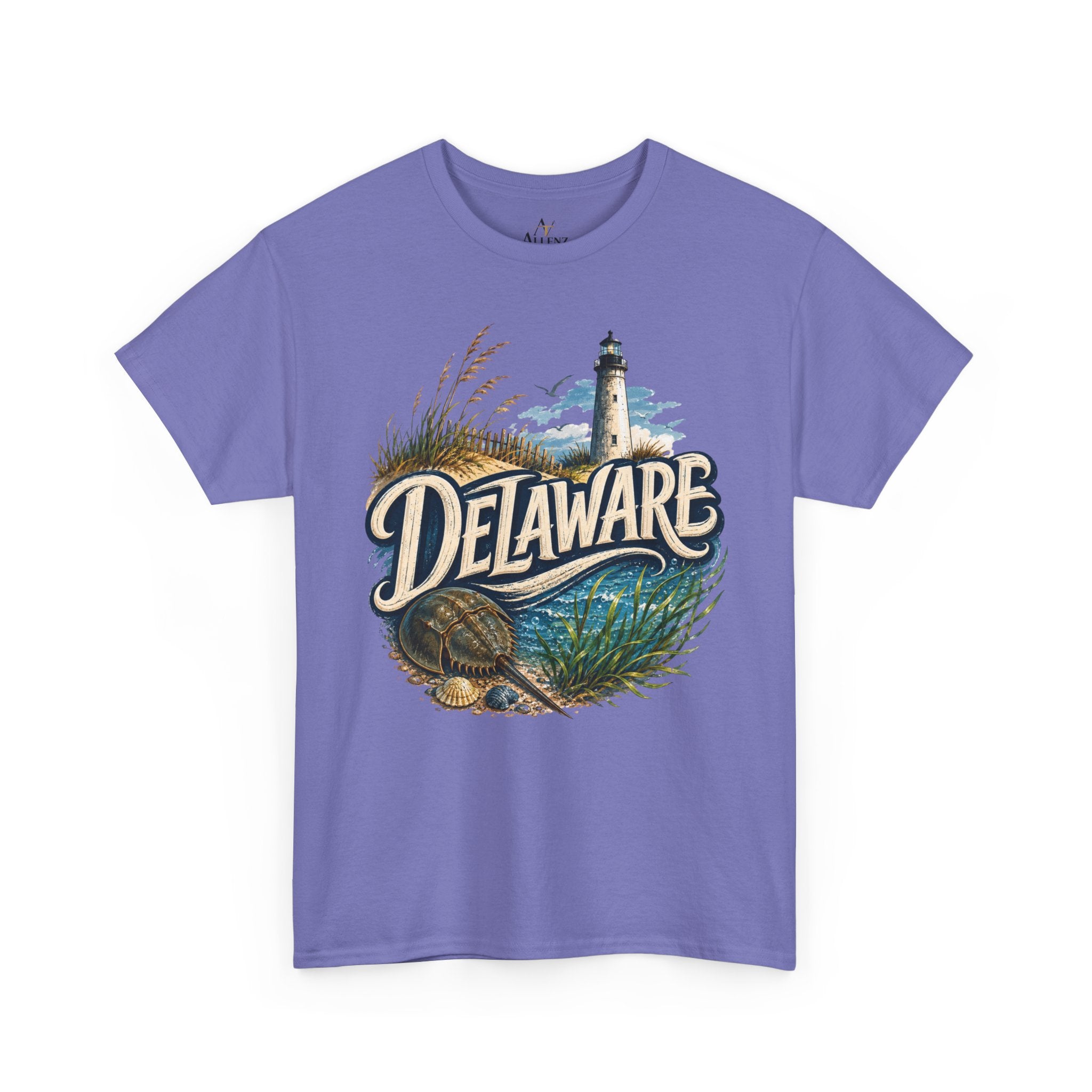 🌊 Delaware – Coastal Charm and Seaside Heritage 🌊