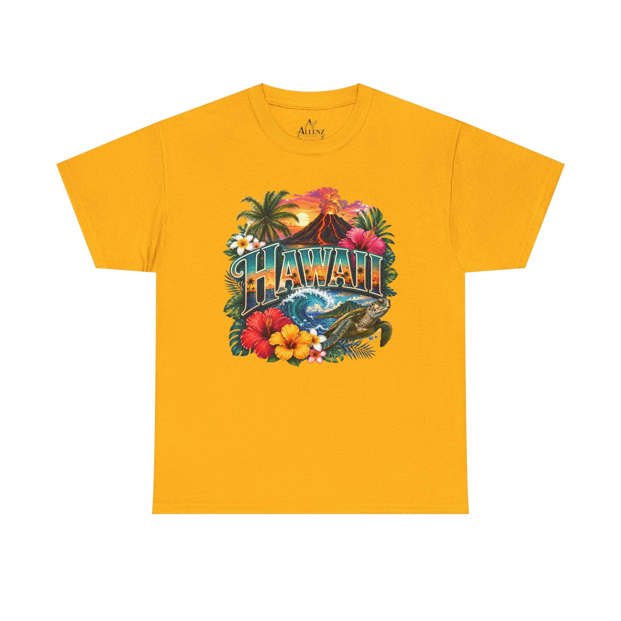 🌺 Hawaii – Island Paradise and Aloha Spirit 🌺