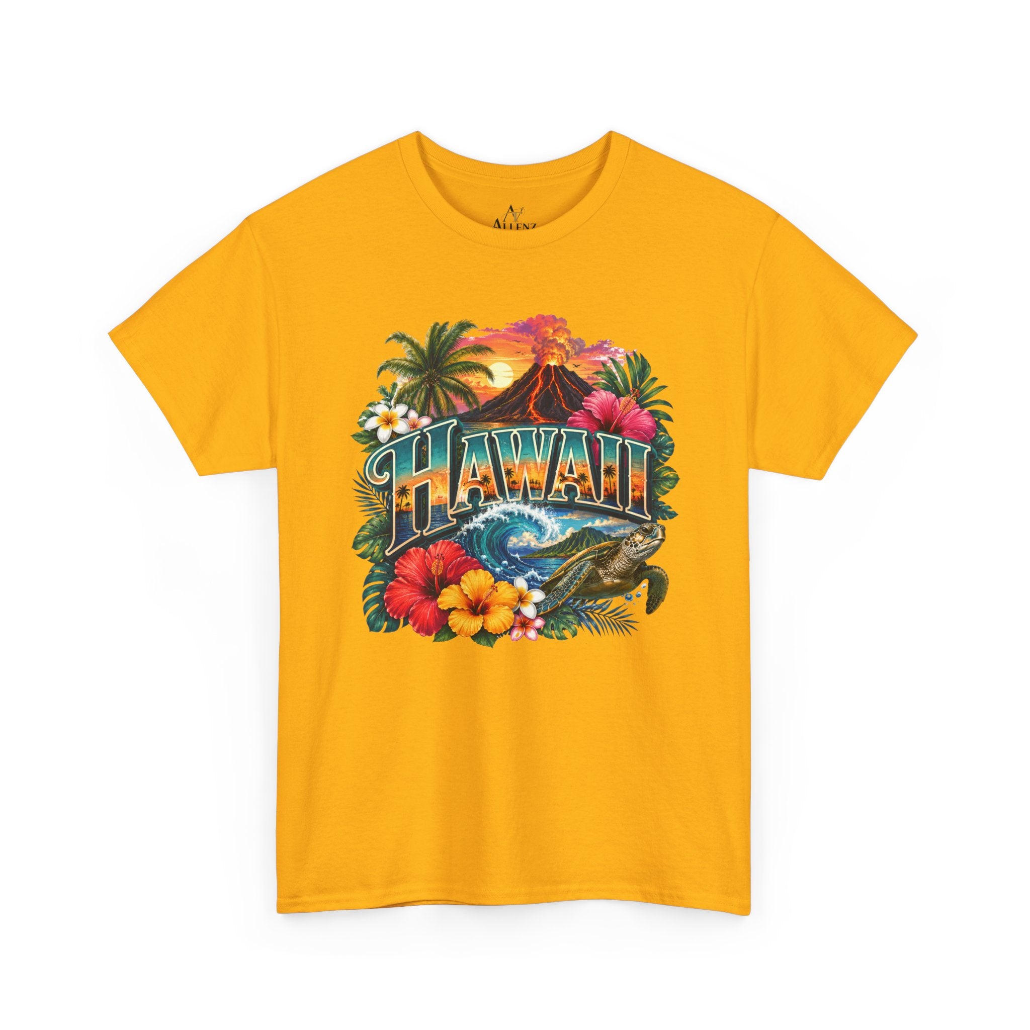 🌺 Hawaii – Island Paradise and Aloha Spirit 🌺