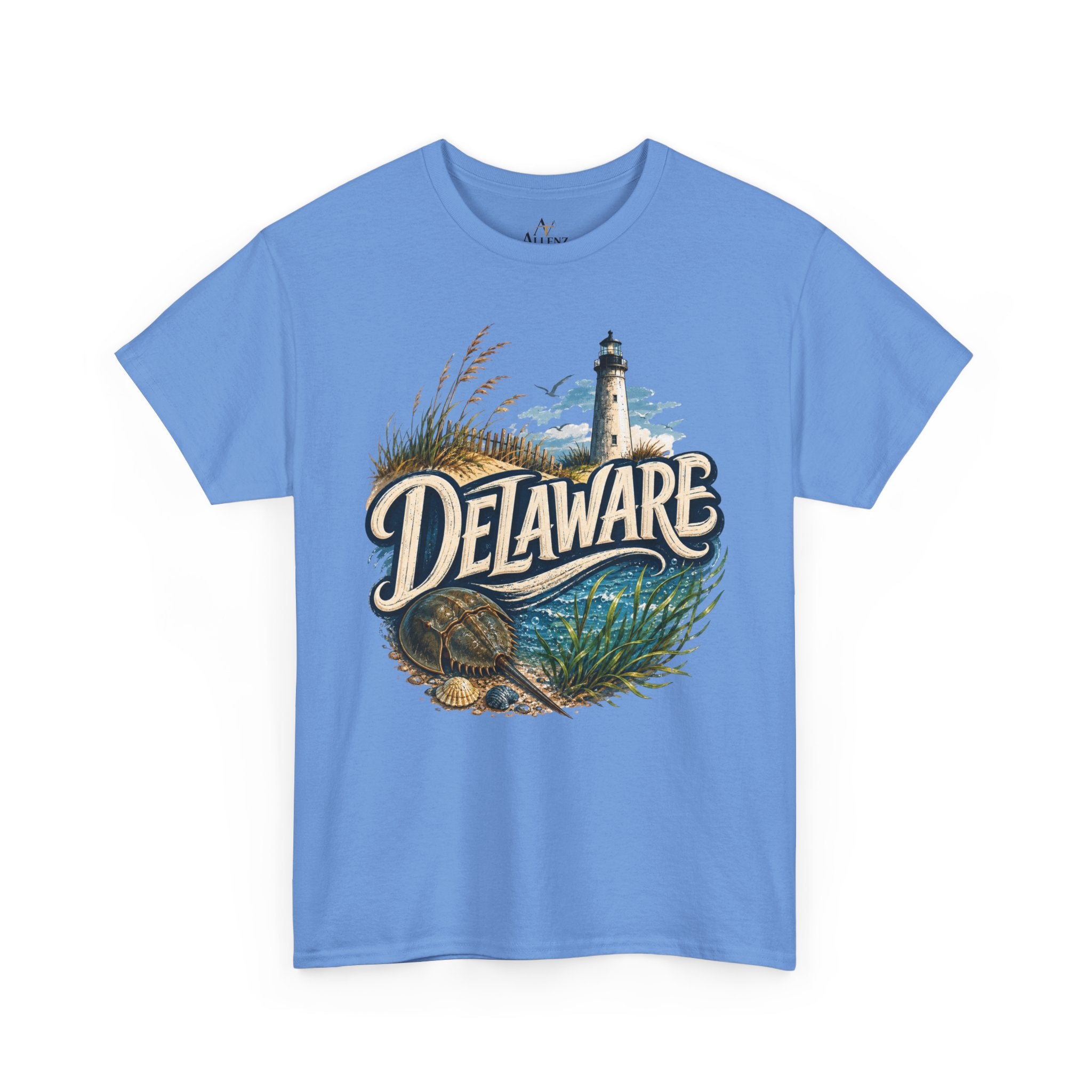 🌊 Delaware – Coastal Charm and Seaside Heritage 🌊