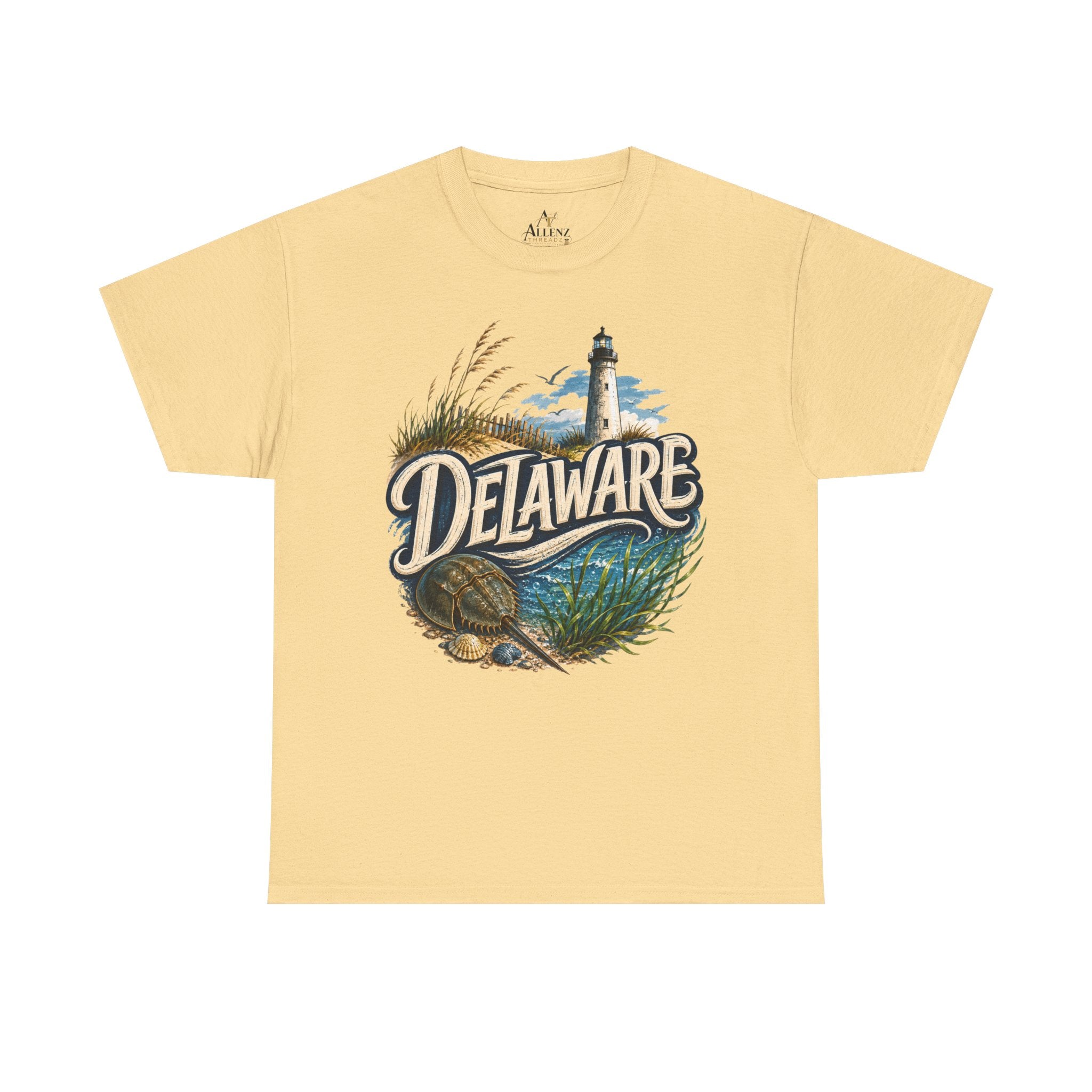 🌊 Delaware – Coastal Charm and Seaside Heritage 🌊