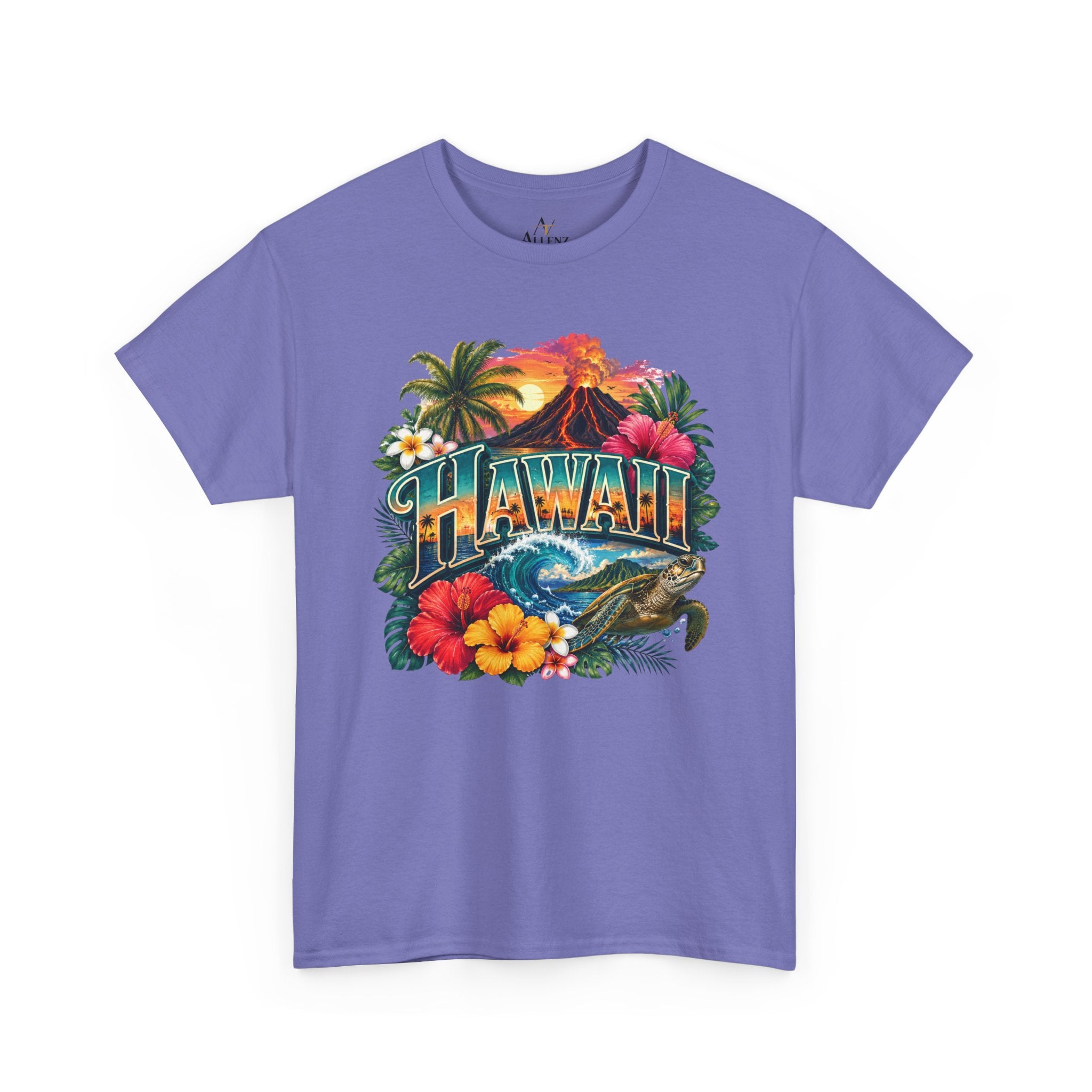 🌺 Hawaii – Island Paradise and Aloha Spirit 🌺