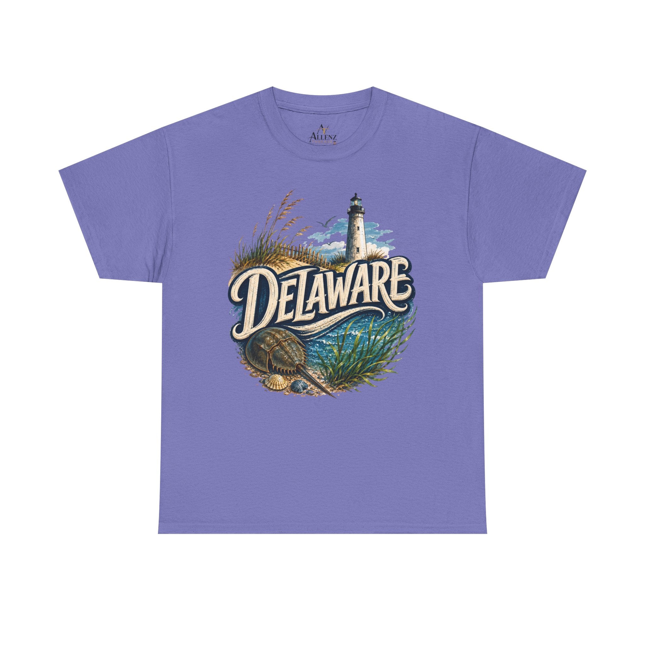 🌊 Delaware – Coastal Charm and Seaside Heritage 🌊