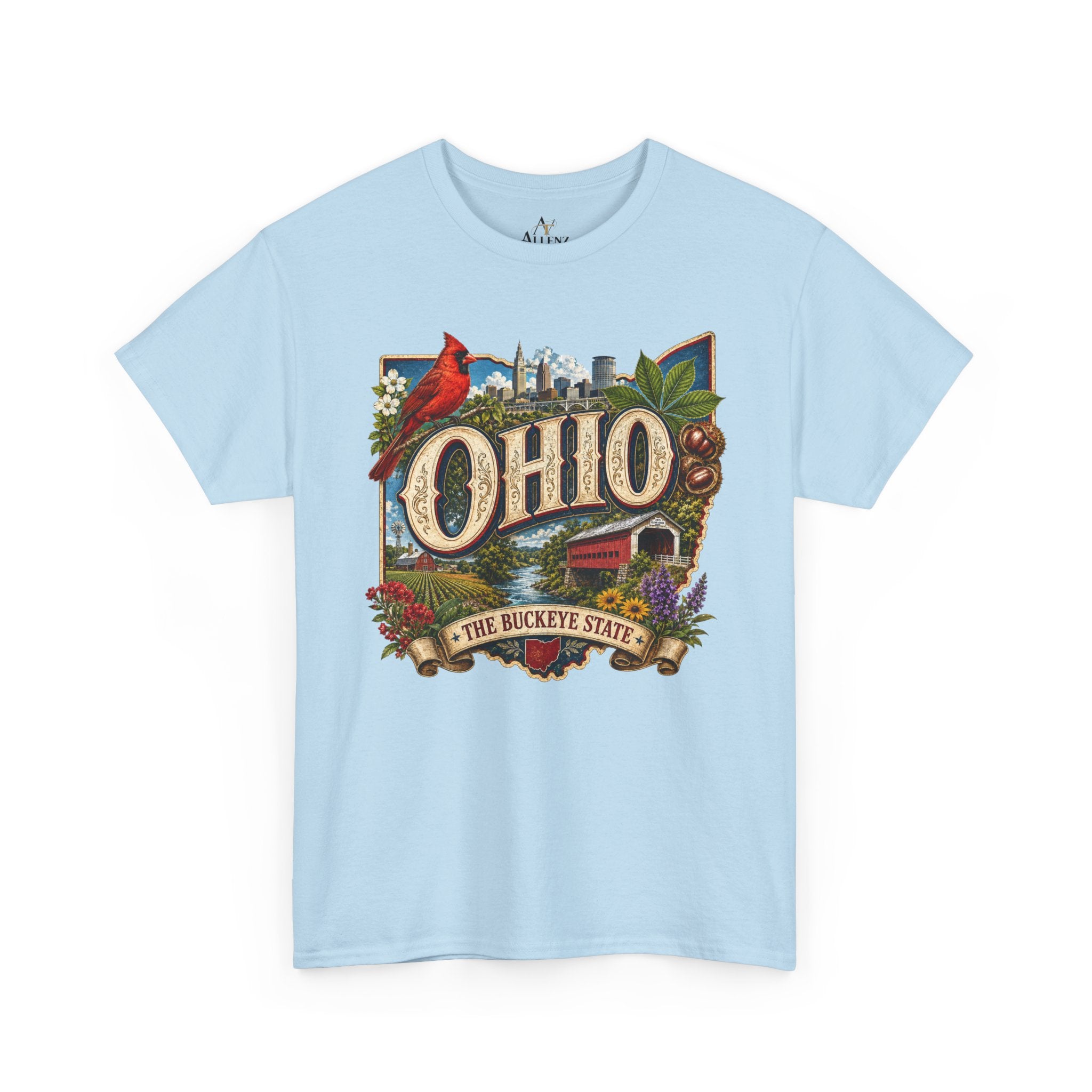 Unisex Heavy Cotton Tee🍂 Ohio – The Heart of the Buckeye State 🌰🌾