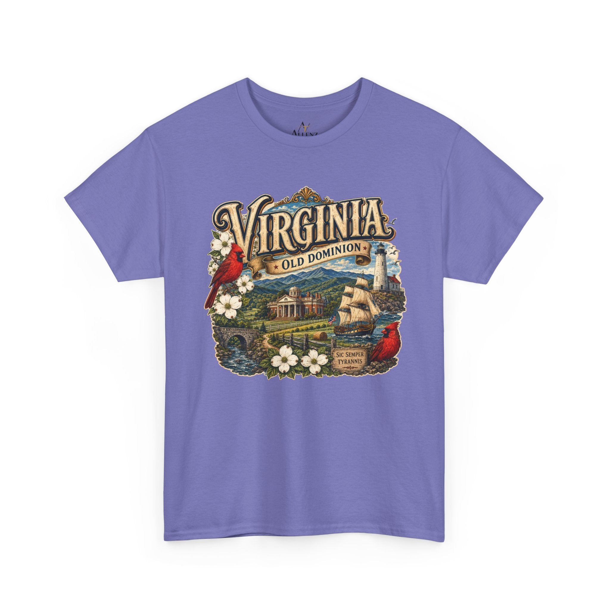 Unisex Heavy Cotton Tee Virginia – Timeless Beauty of the Old Dominion 🚢🕊️