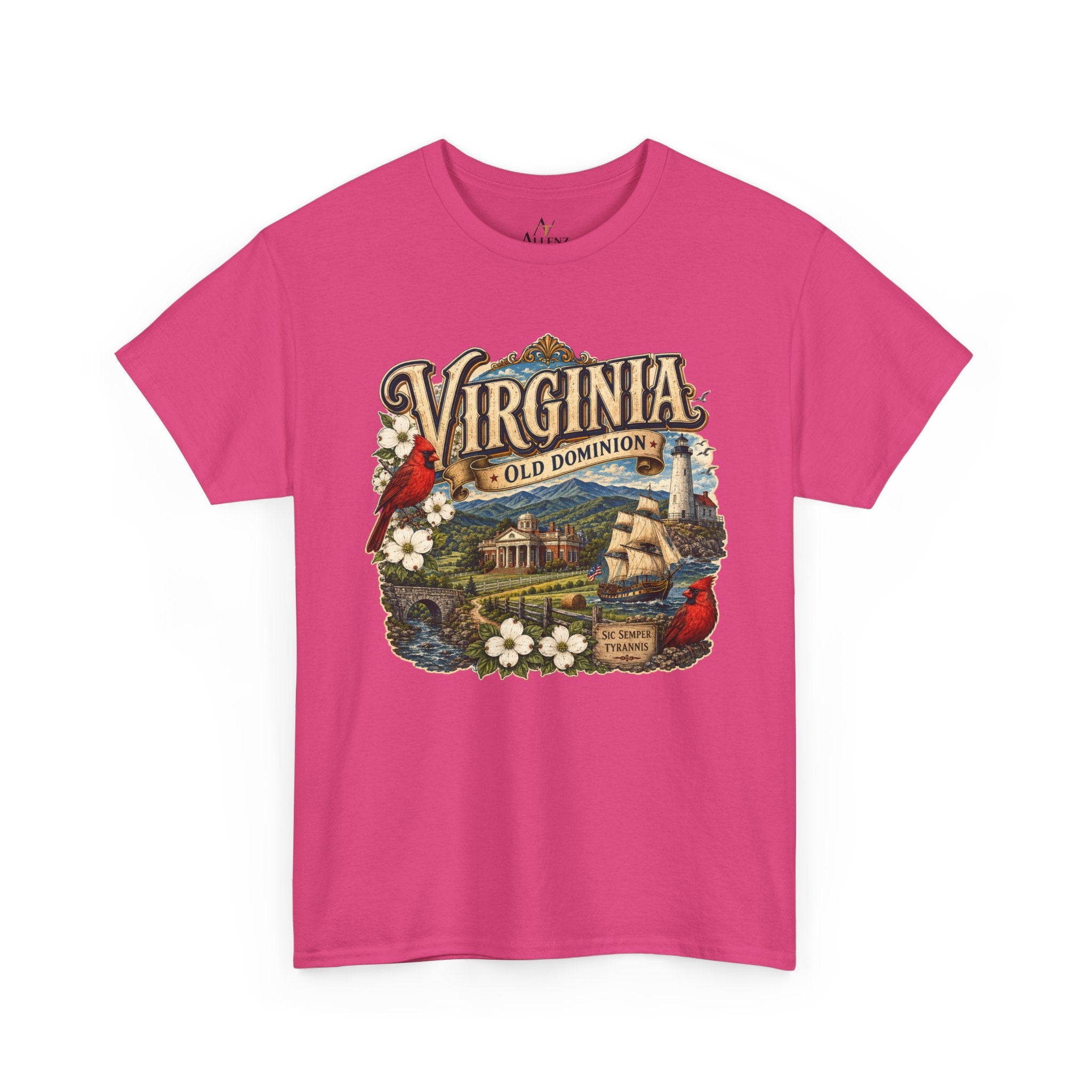 Unisex Heavy Cotton Tee Virginia – Timeless Beauty of the Old Dominion 🚢🕊️