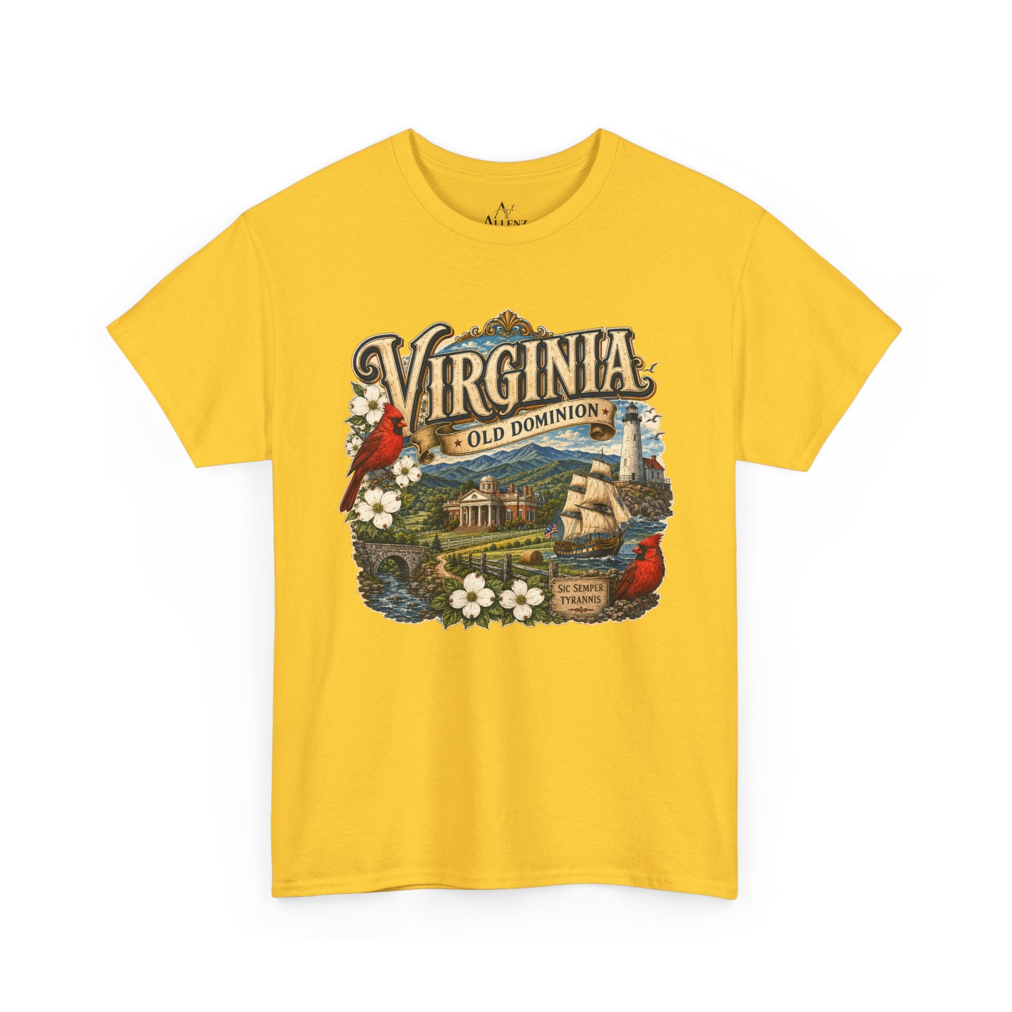 Unisex Heavy Cotton Tee Virginia – Timeless Beauty of the Old Dominion 🚢🕊️