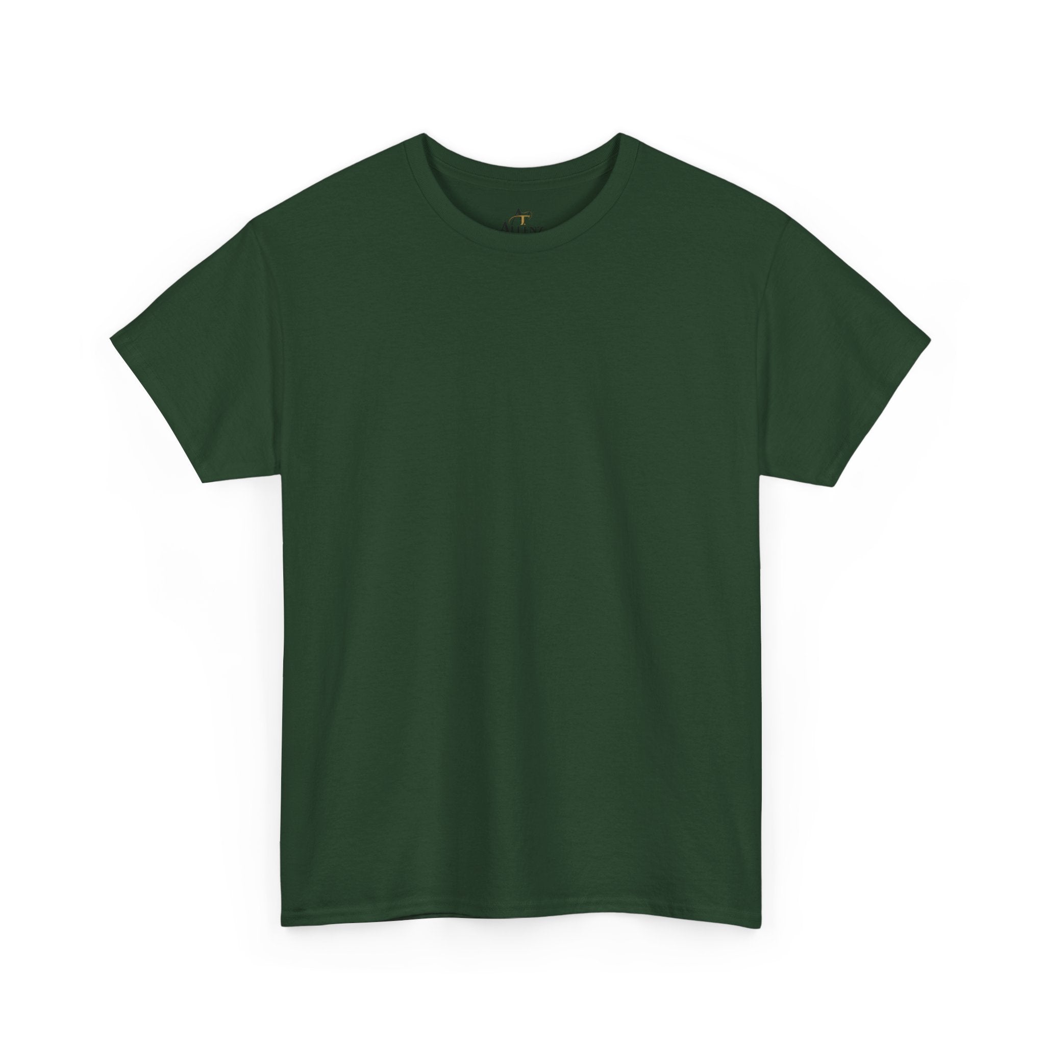 Unisex Heavy Cotton Tee “I Am A Veteran – I Can Fix Stupid” Funny Veteran T-Shirt
