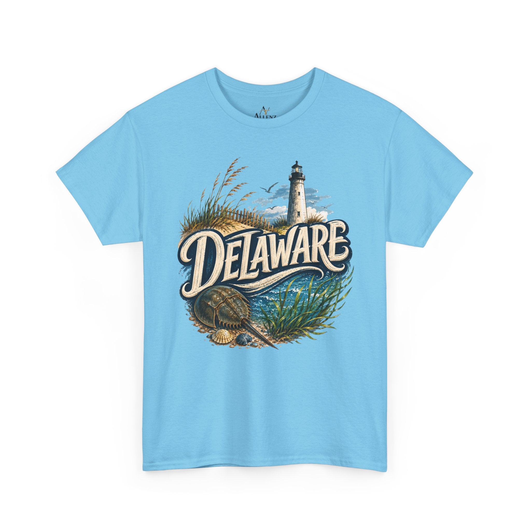 🌊 Delaware – Coastal Charm and Seaside Heritage 🌊