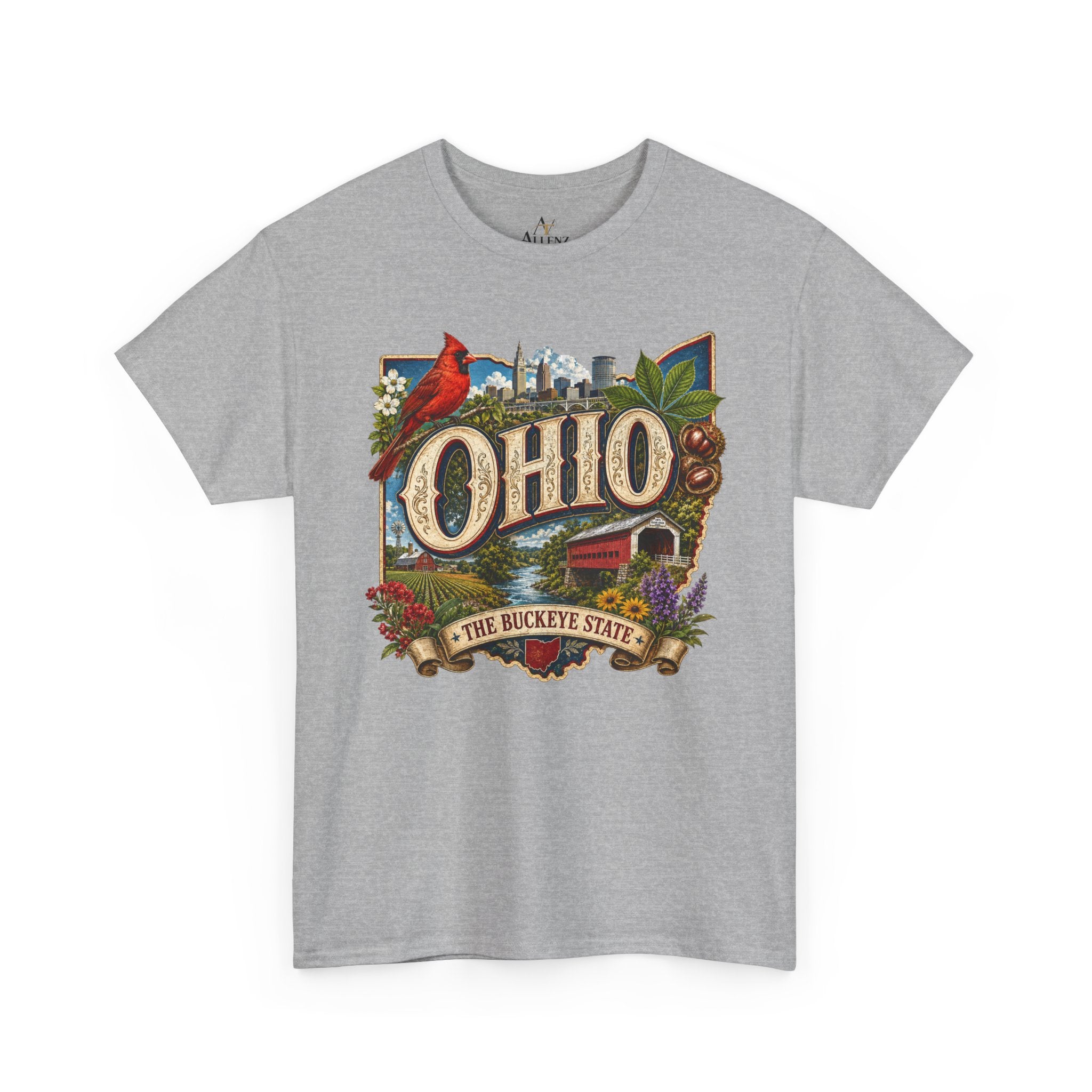 Unisex Heavy Cotton Tee🍂 Ohio – The Heart of the Buckeye State 🌰🌾