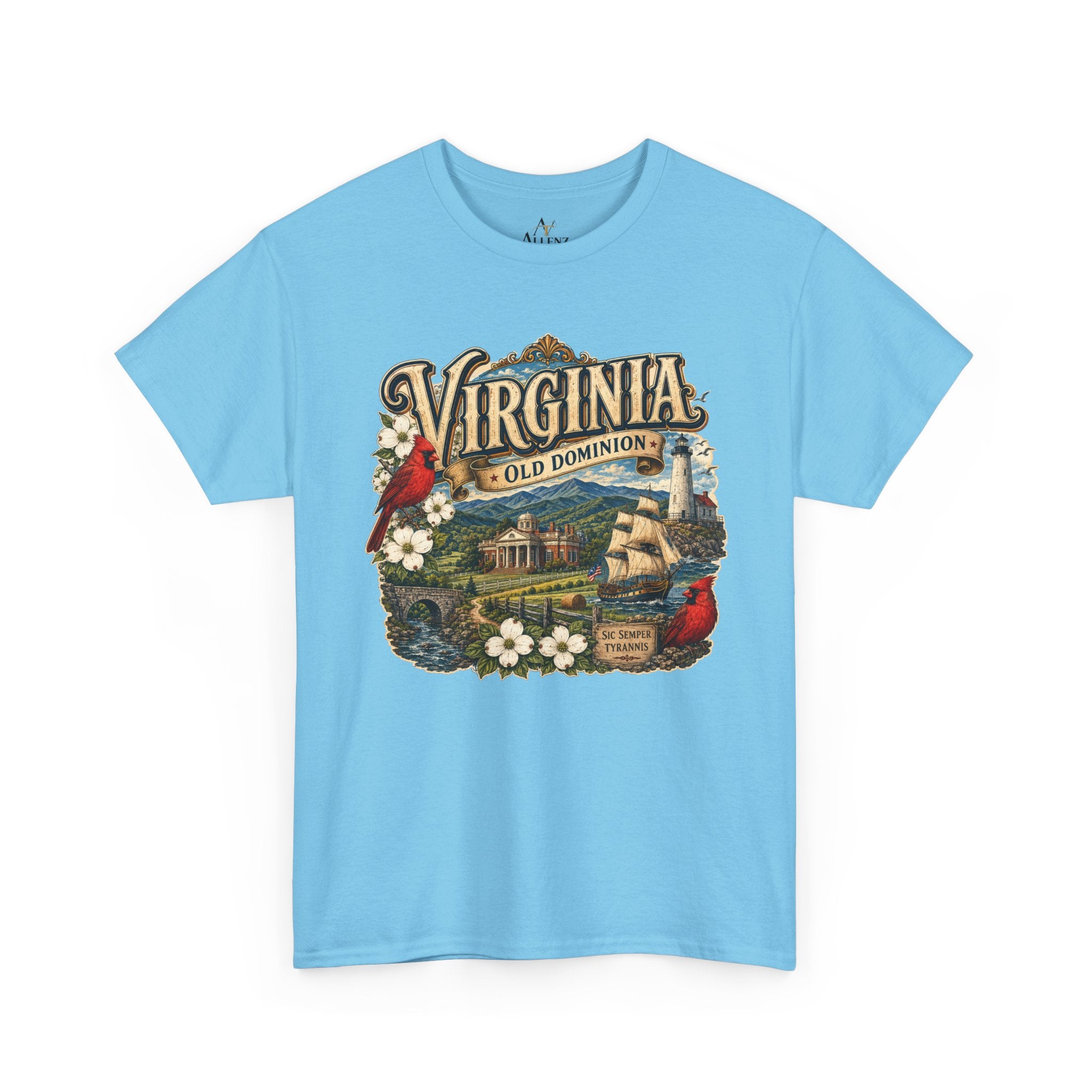 Unisex Heavy Cotton Tee Virginia – Timeless Beauty of the Old Dominion 🚢🕊️