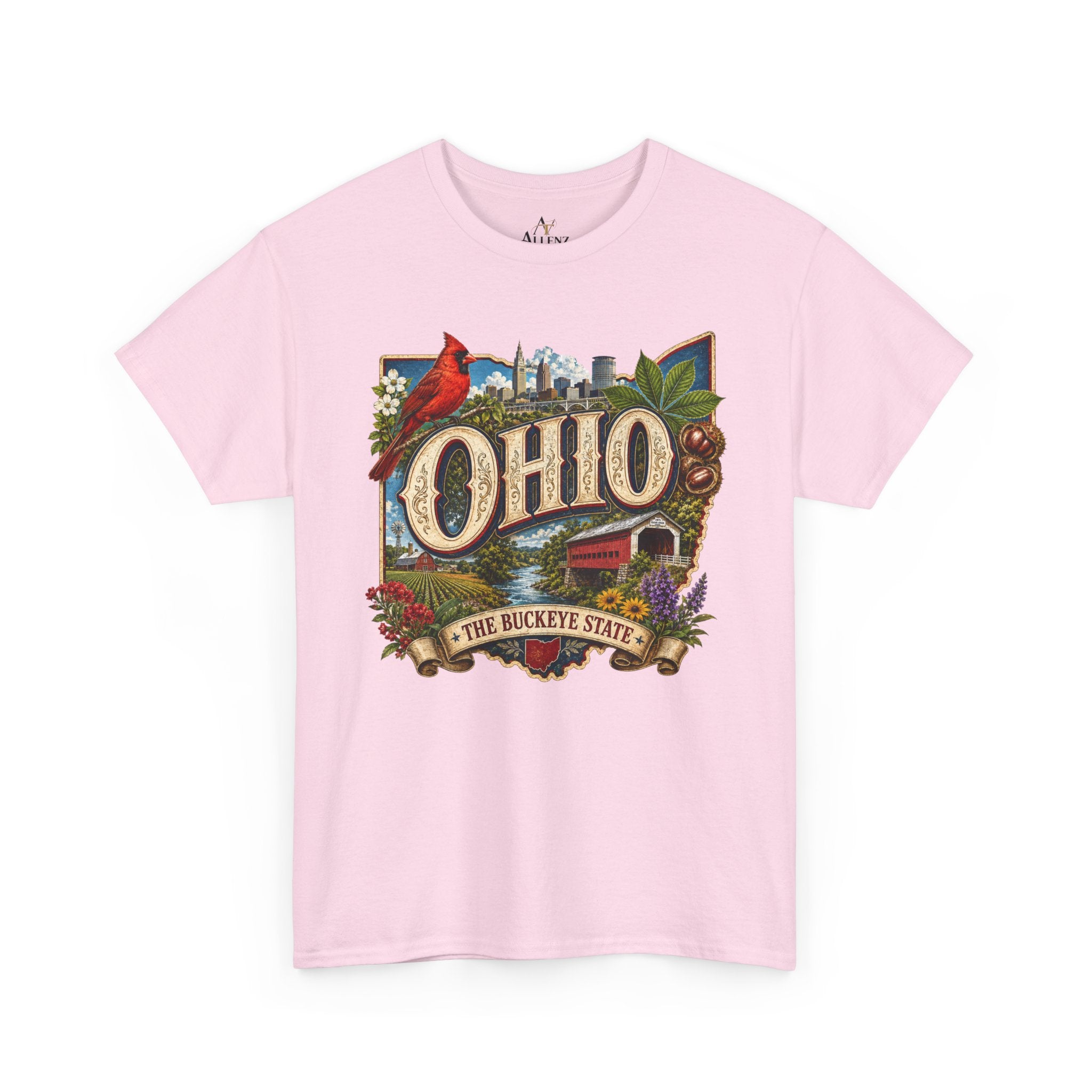Unisex Heavy Cotton Tee🍂 Ohio – The Heart of the Buckeye State 🌰🌾