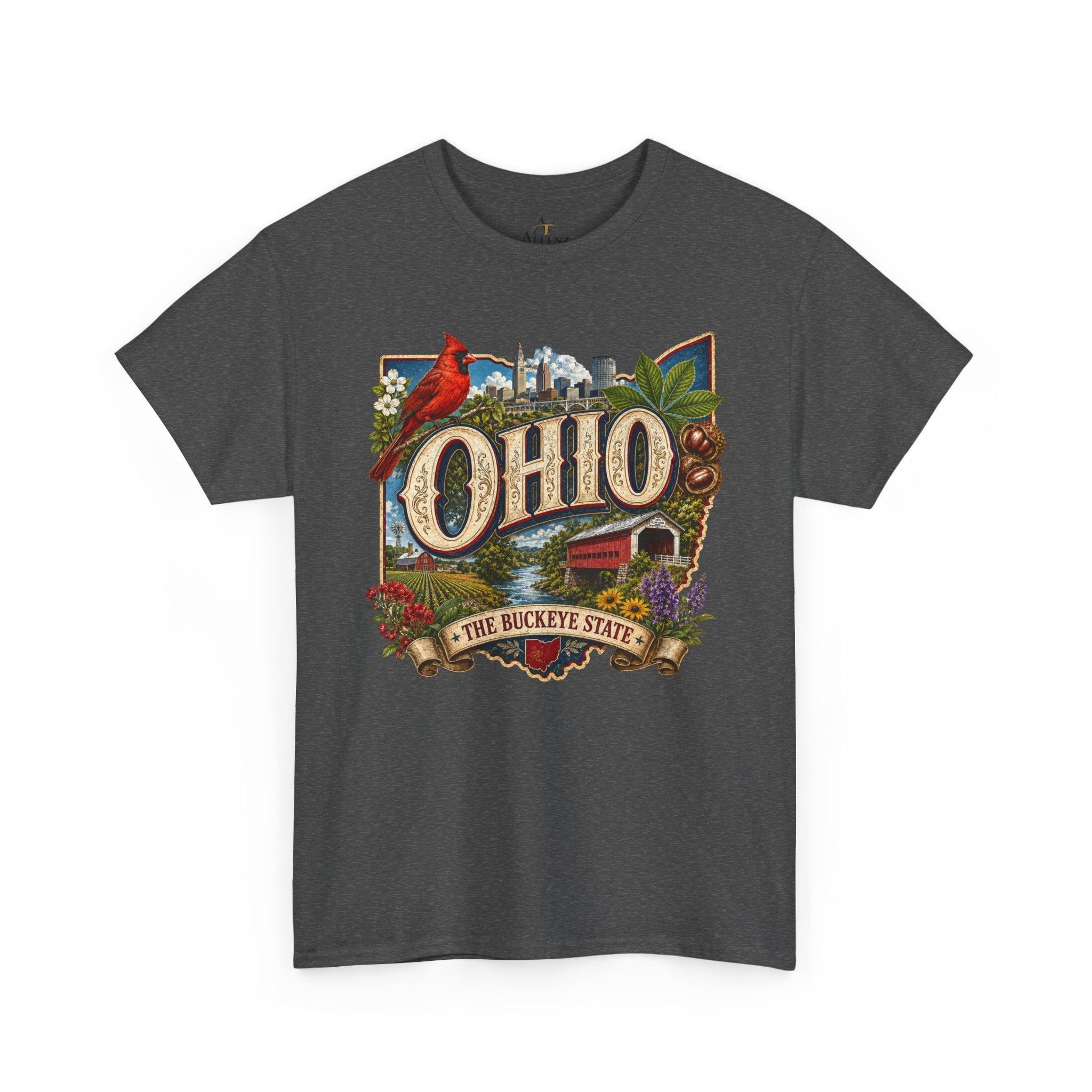 Unisex Heavy Cotton Tee🍂 Ohio – The Heart of the Buckeye State 🌰🌾