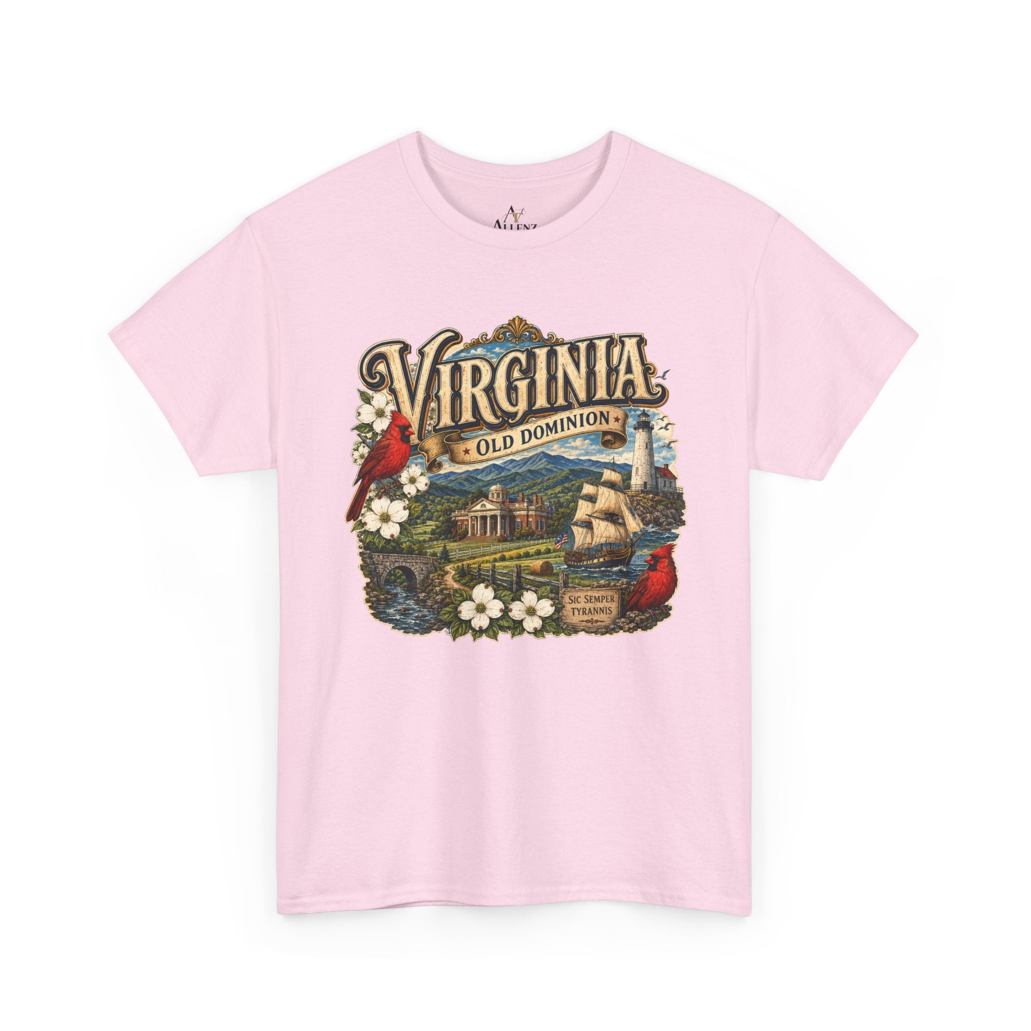 Unisex Heavy Cotton Tee Virginia – Timeless Beauty of the Old Dominion 🚢🕊️